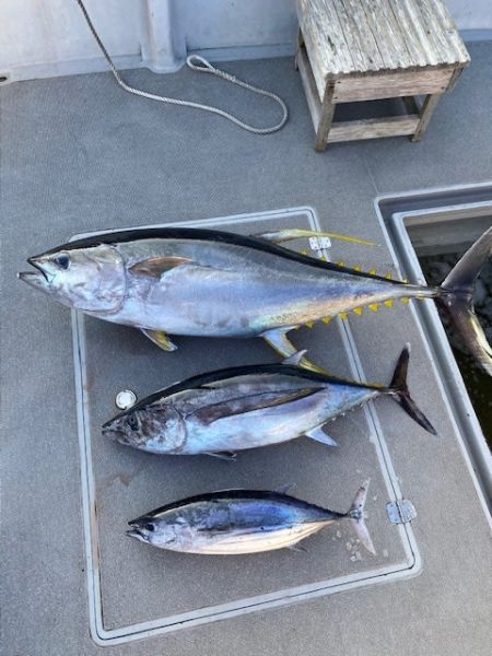 へいみつ丸 釣果