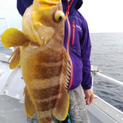 遊漁船 新鋭丸 釣果