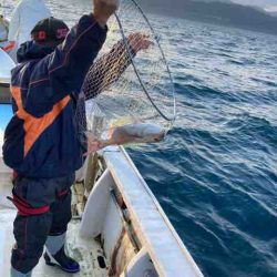 龍宮丸 釣果