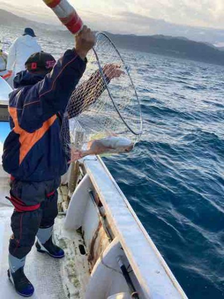 龍宮丸 釣果