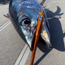 へいみつ丸 釣果