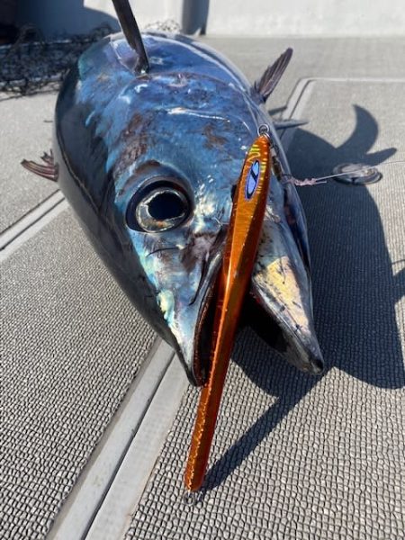 へいみつ丸 釣果