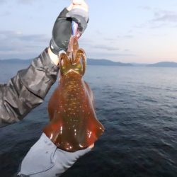 まるいち丸 ZERO-1 釣果