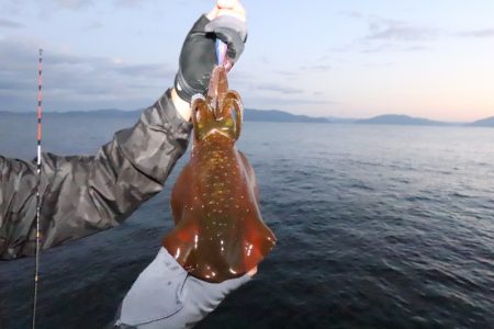 まるいち丸 ZERO-1 釣果