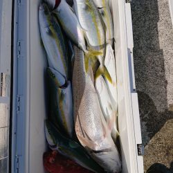 エンペラー 釣果