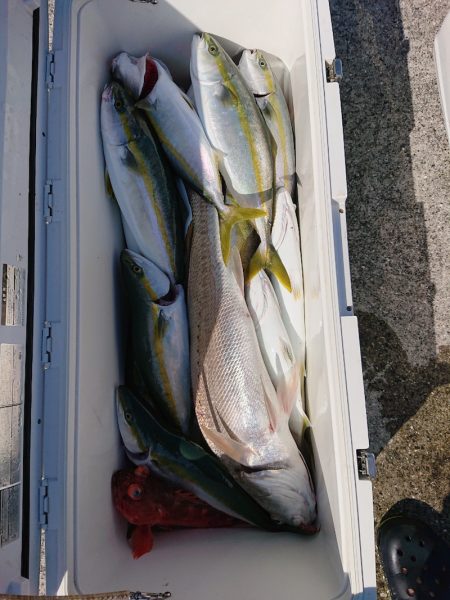 エンペラー 釣果