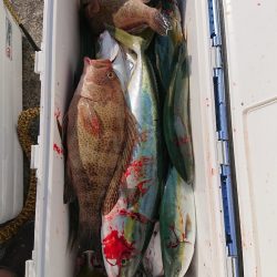 エンペラー 釣果