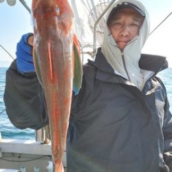 遊漁船 ニライカナイ 釣果