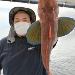 遊漁船 ニライカナイ 釣果