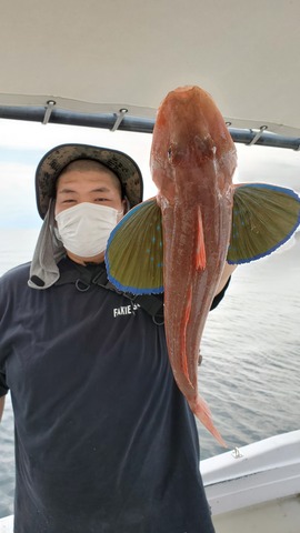 遊漁船 ニライカナイ 釣果