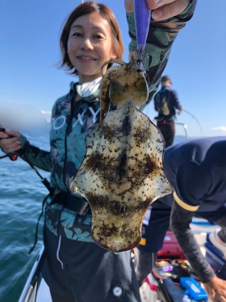 Magic（マジック） 釣果