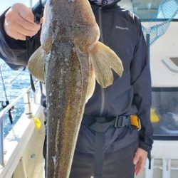 遊漁船 ニライカナイ 釣果