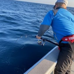 へいみつ丸 釣果