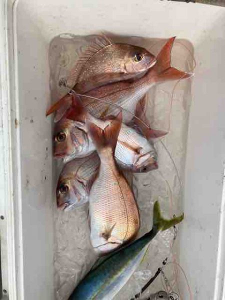 龍宮丸 釣果