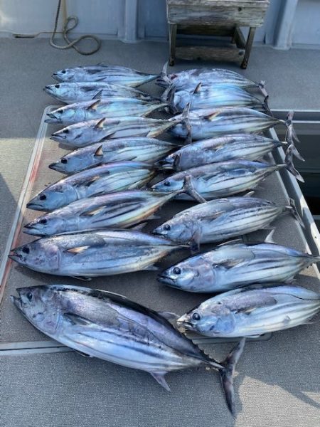 へいみつ丸 釣果