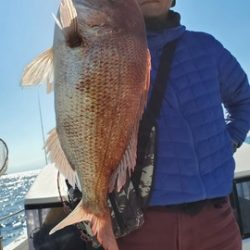 遊漁船 ニライカナイ 釣果