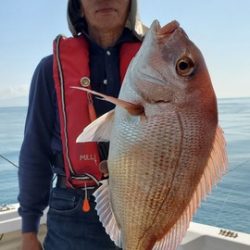 遊漁船 ニライカナイ 釣果