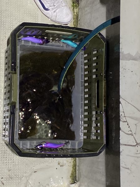 オーシャンズ　京都 釣果