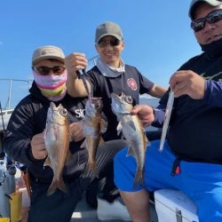 へいみつ丸 釣果