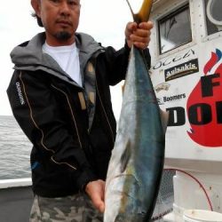 ファイヤードルフィン 釣果