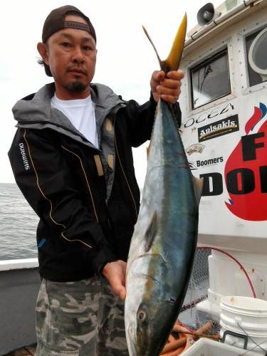 ファイヤードルフィン 釣果