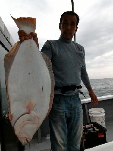 ファイヤードルフィン 釣果