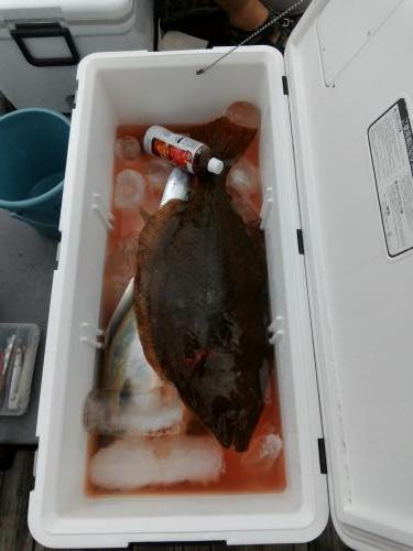 ファイヤードルフィン 釣果