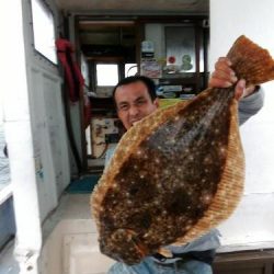 ファイヤードルフィン 釣果