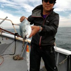 ファイヤードルフィン 釣果