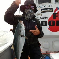 ファイヤードルフィン 釣果