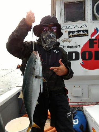 ファイヤードルフィン 釣果