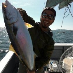 ファイヤードルフィン 釣果