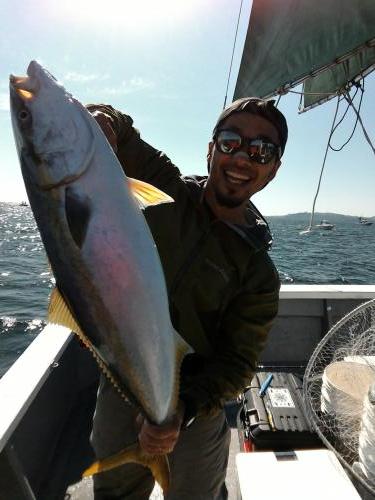 ファイヤードルフィン 釣果