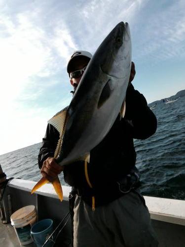 ファイヤードルフィン 釣果