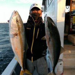 ファイヤードルフィン 釣果