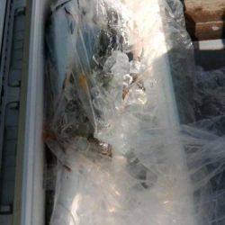 ファイヤードルフィン 釣果