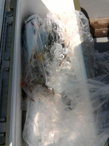 ファイヤードルフィン 釣果