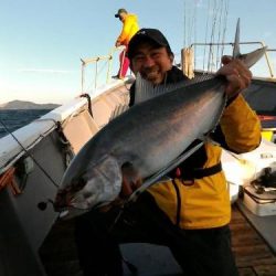 ファイヤードルフィン 釣果