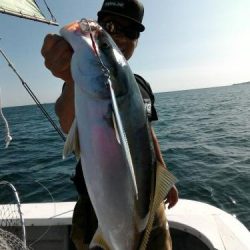 ファイヤードルフィン 釣果