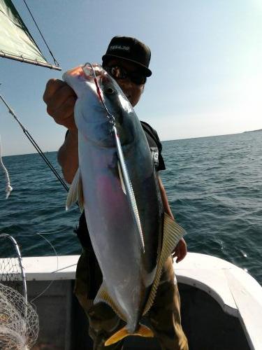 ファイヤードルフィン 釣果