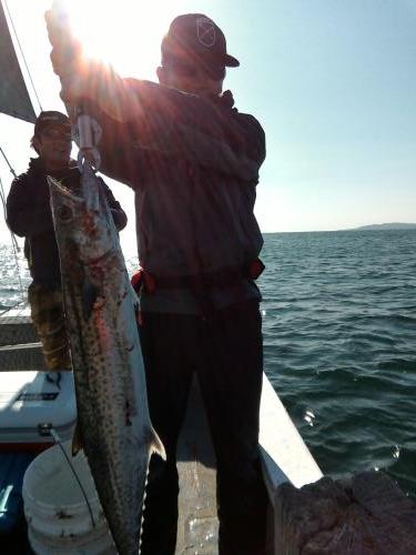 ファイヤードルフィン 釣果