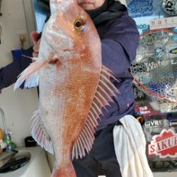 遊漁船 ニライカナイ 釣果