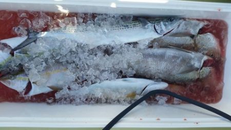 第五慶門丸 釣果