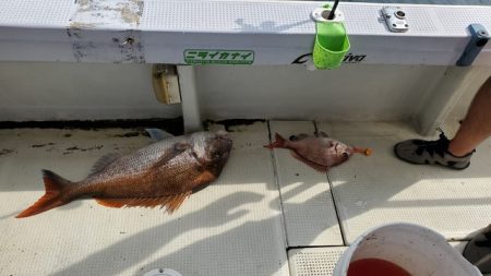 遊漁船 ニライカナイ 釣果