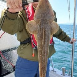 遊漁船 ニライカナイ 釣果