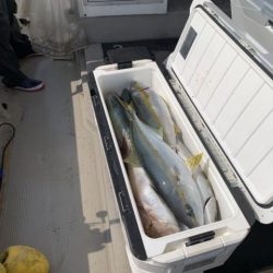 第八大安丸 釣果