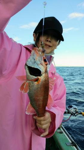 仁徳丸 釣果