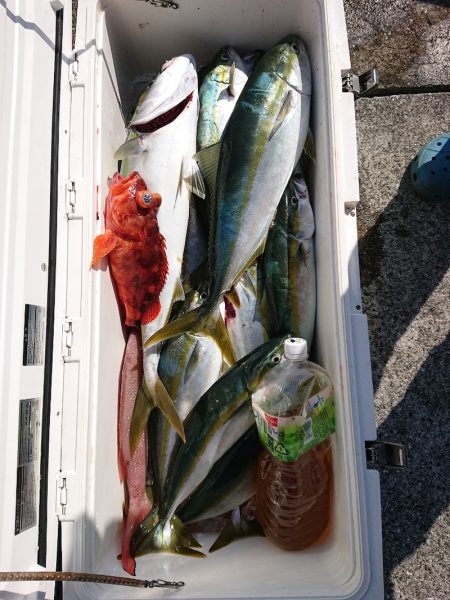 エンペラー 釣果