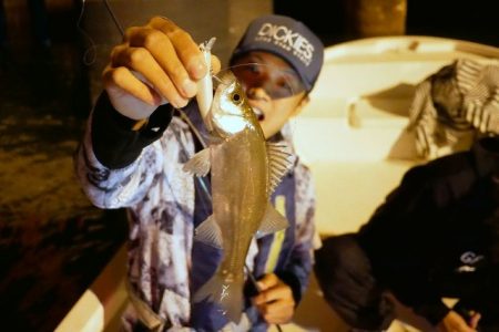 TOPGUN名古屋 釣果