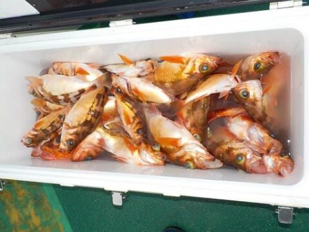 第二むつ漁丸 釣果